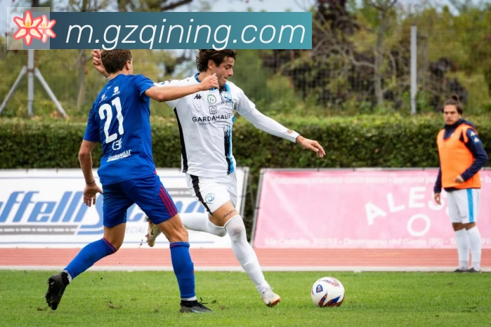 必一体育官网APP 高清赛事图