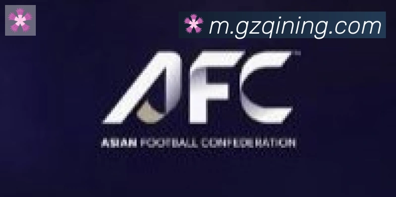 必一体育官网合作伙伴